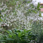 Dhome Apartmán Agordo