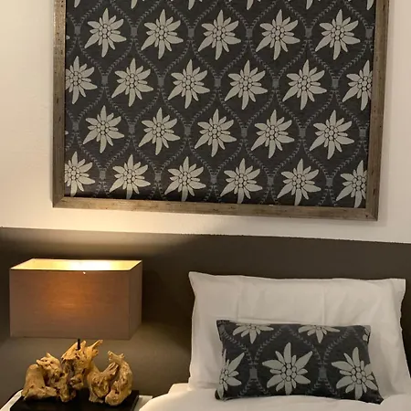 Dhome * 阿戈尔多