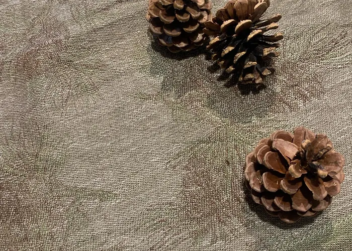 Dhome * アゴルド